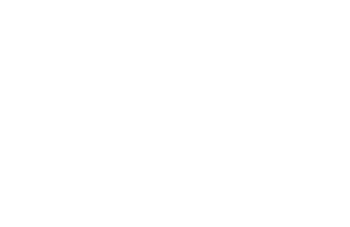 SheJumps logo