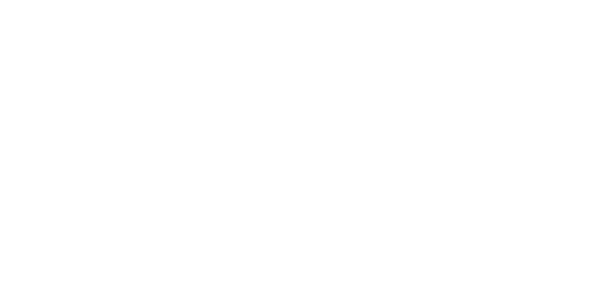 SheJumps logo