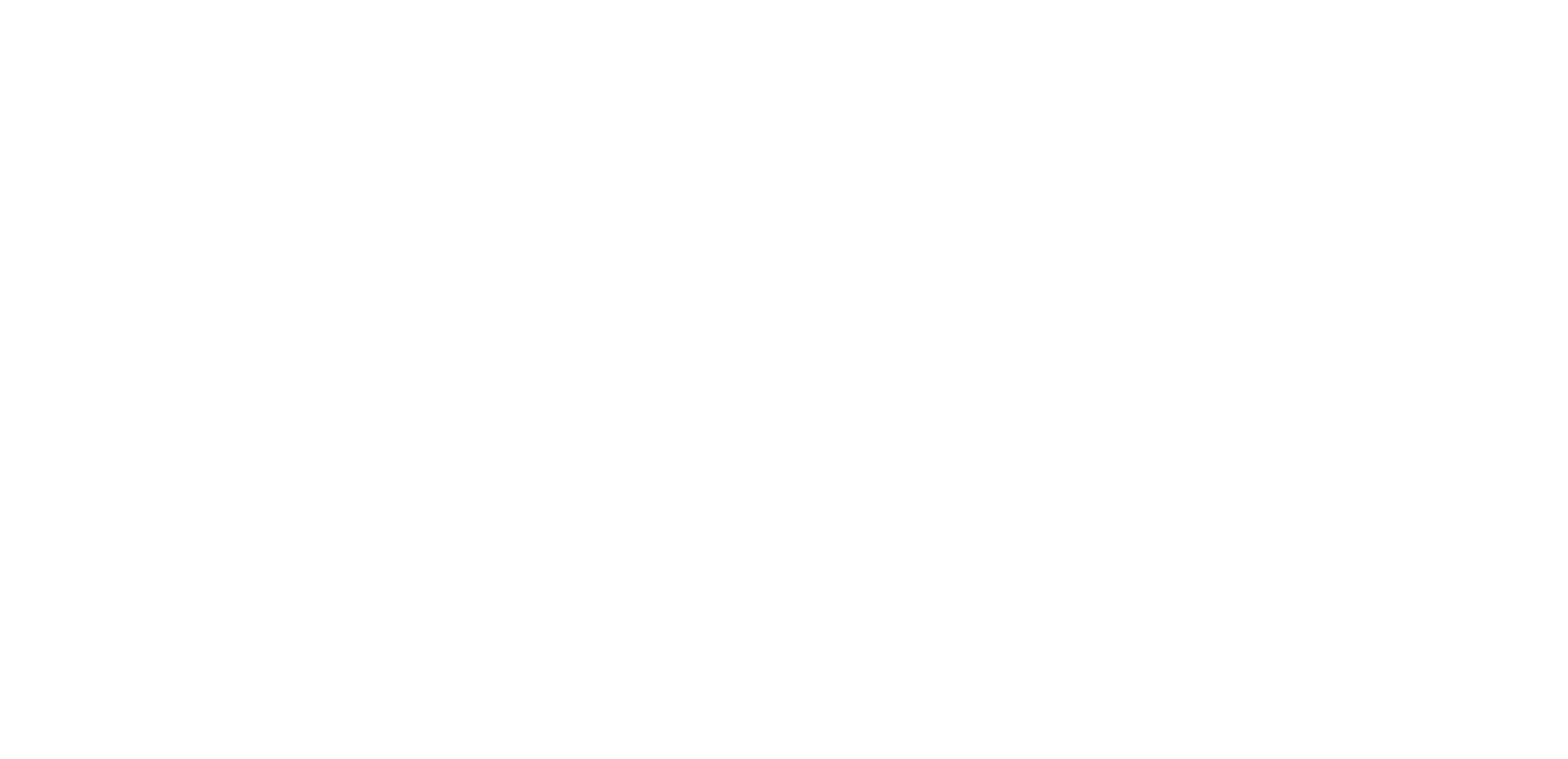 SheJumps logo